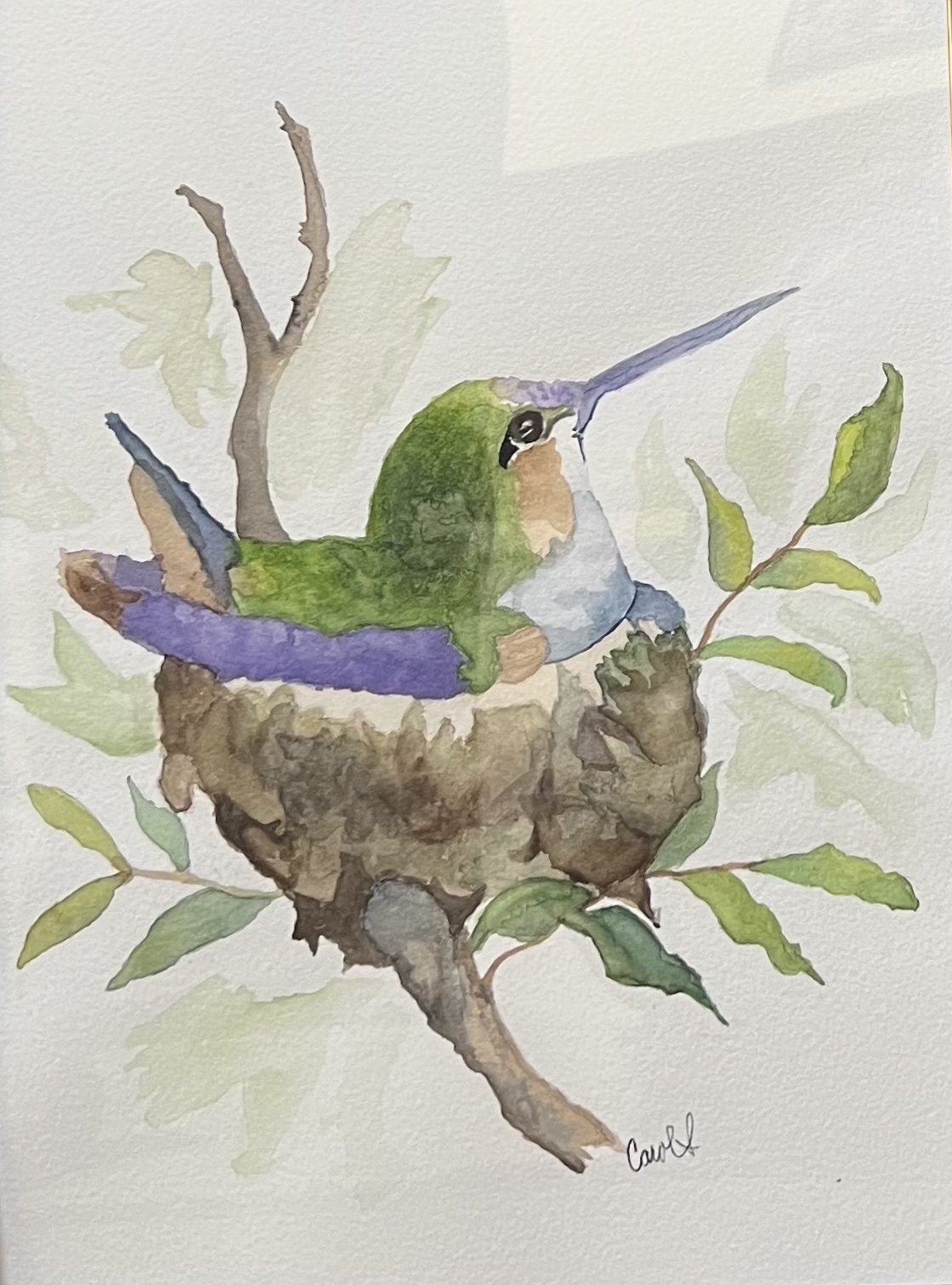 Carol Tiny Nester