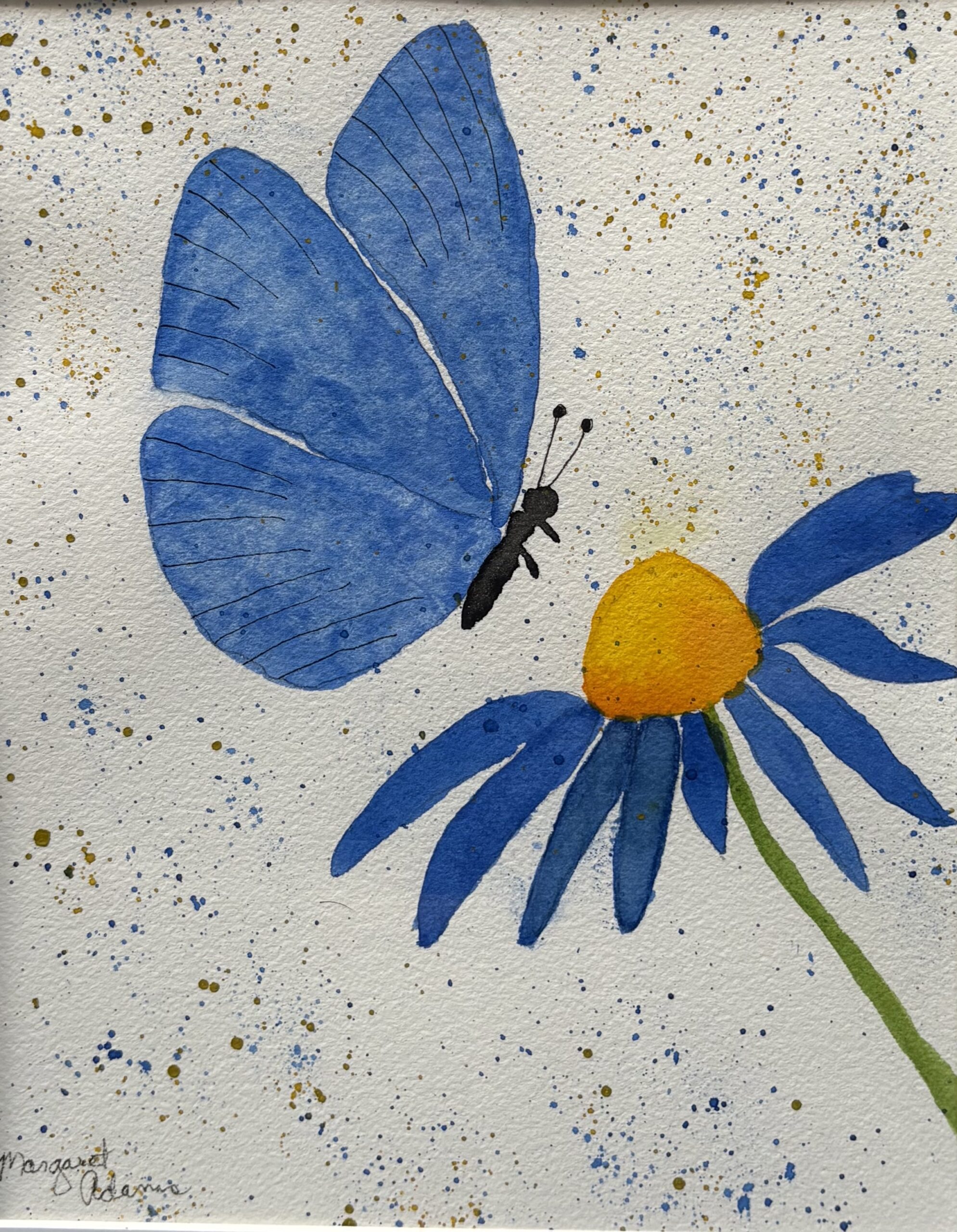 Marg Blue Daisy