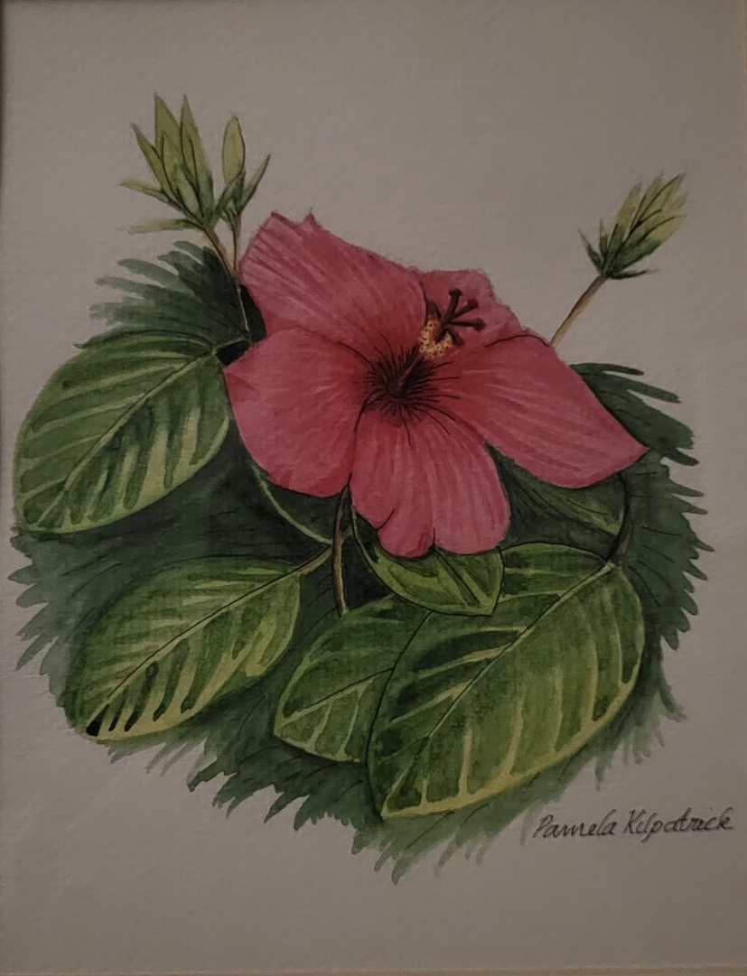 Pam Hibiscus