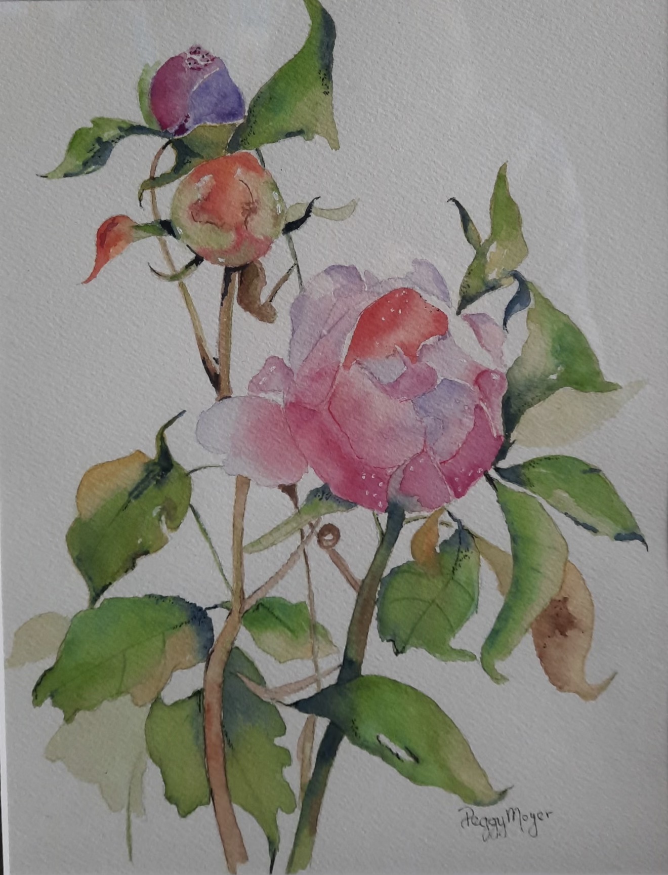 Peg BloomandBuds
