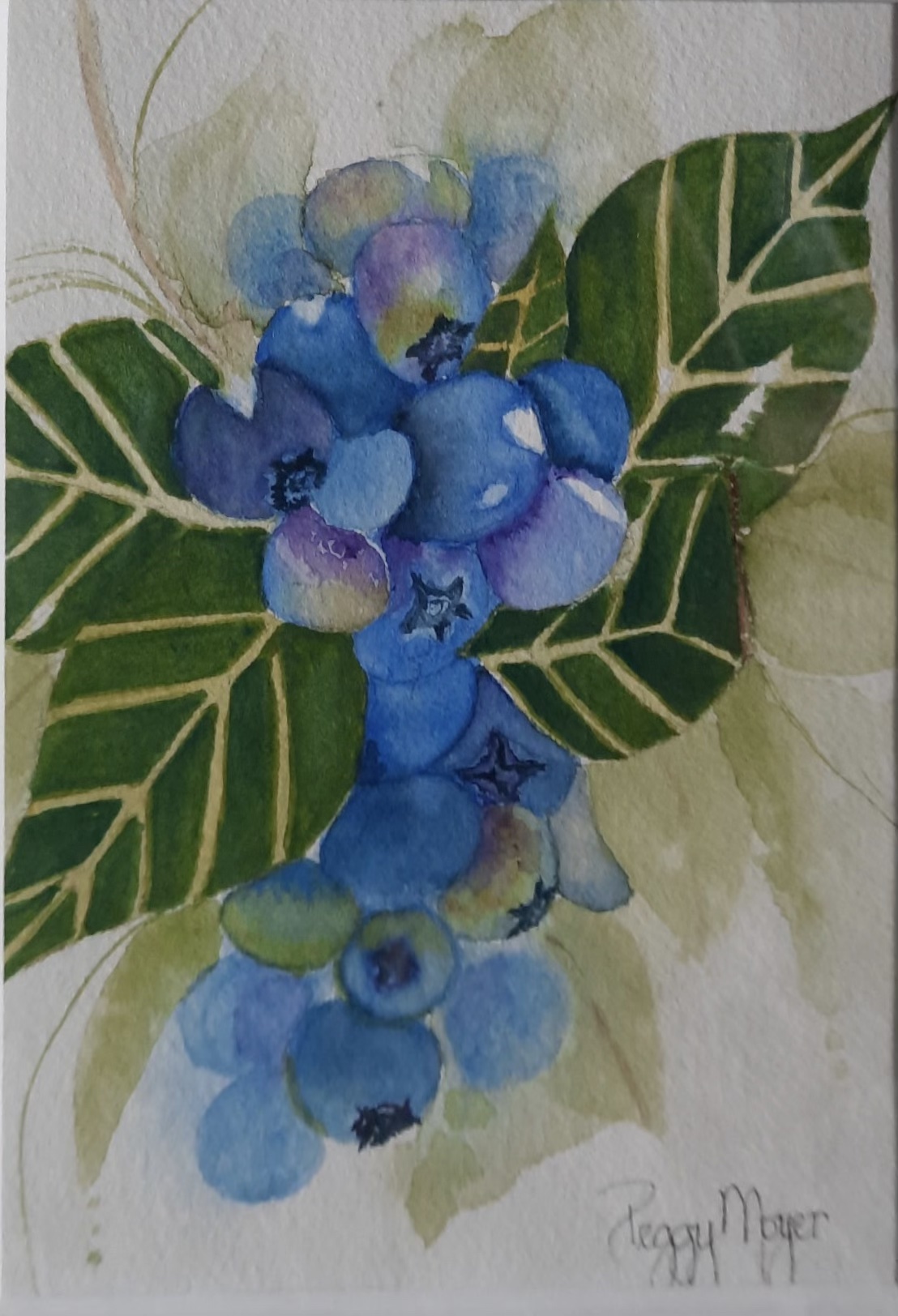 Peg BlueberryMorning
