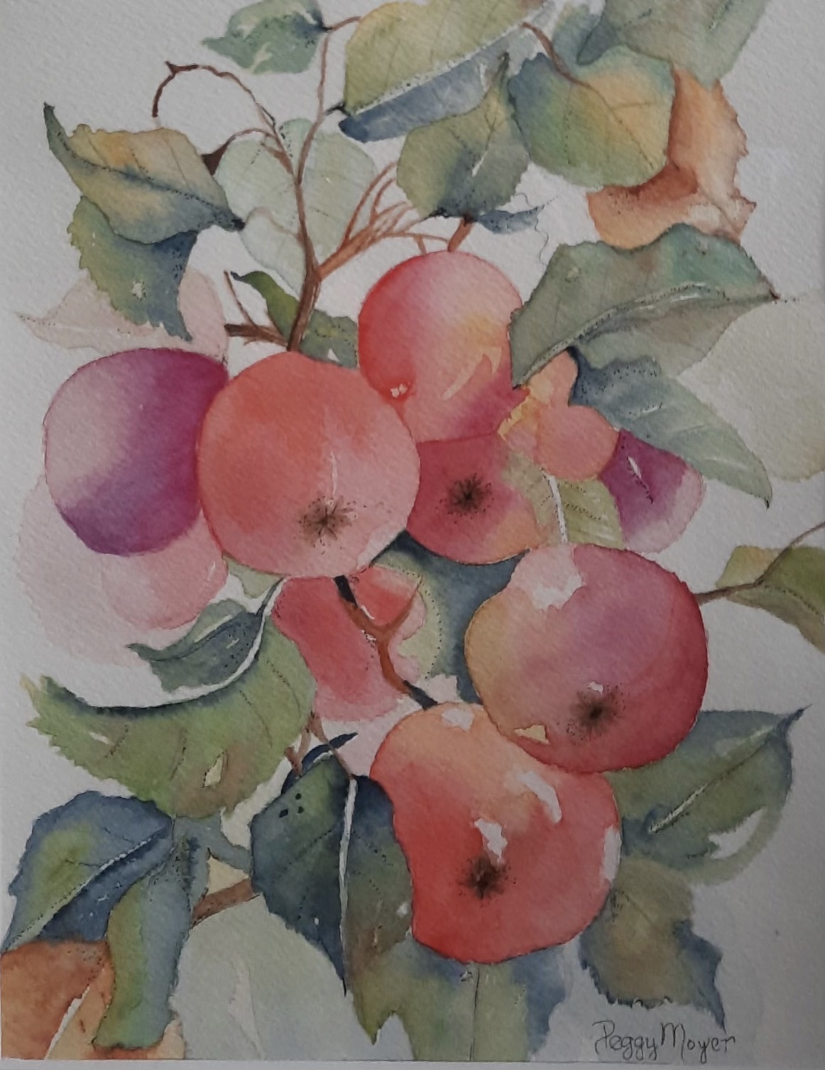 Peg FruitfulEndeavors
